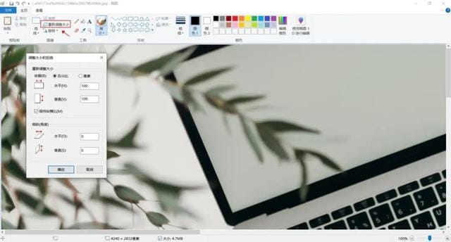图片大小如何调整到 2M(教你如何快速压缩图片大小)(7)