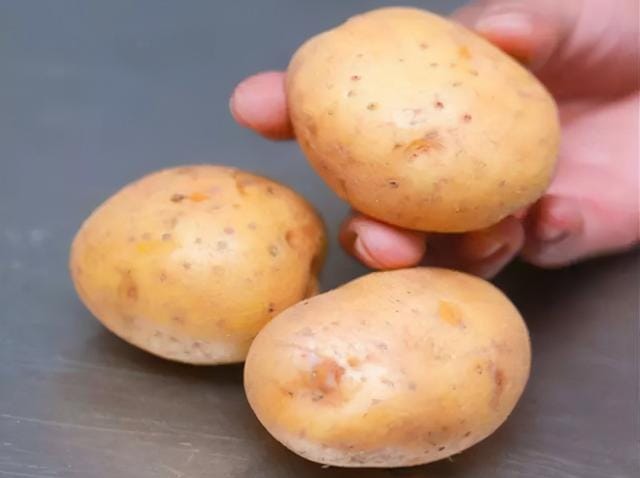 土豆怎样保存不发芽不变绿（保存土豆不烂不发芽的诀窍）(3)