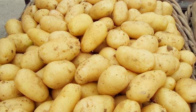 土豆怎样保存不发芽不变绿（保存土豆不烂不发芽的诀窍）(1)