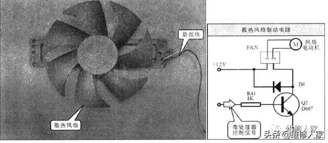 电磁炉风扇不转是什么原因（电磁炉风扇电路原理与检修）(1)