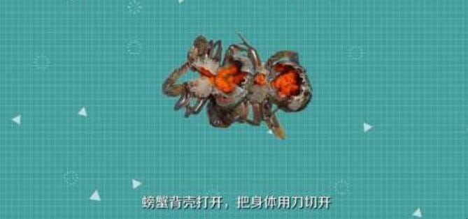 螃蟹粥的做法过程 螃蟹粥的做法窍门(图3)