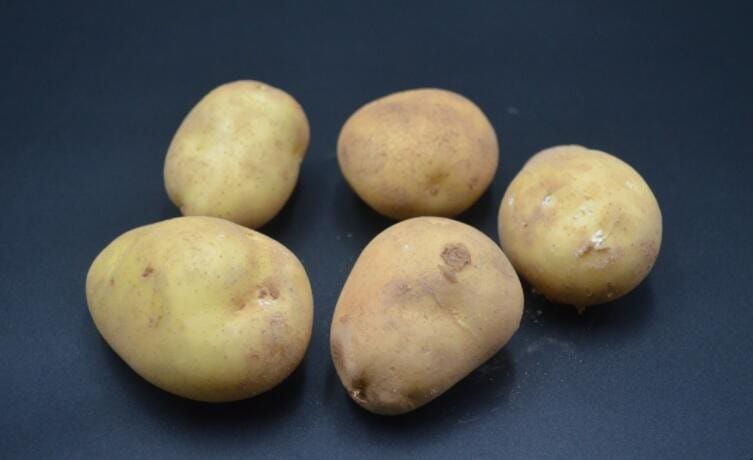 土豆怎样保存不发绿不生芽子视频 土豆怎样保存不发绿不生芽子的方法(图1)