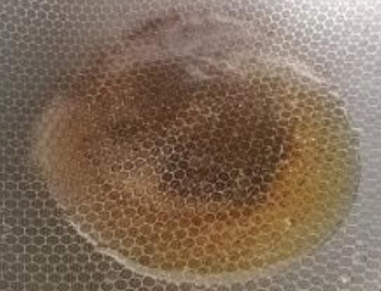 饭店干煸茶树菇的做法窍门 美味的干煸茶树菇的做法图解(图3)