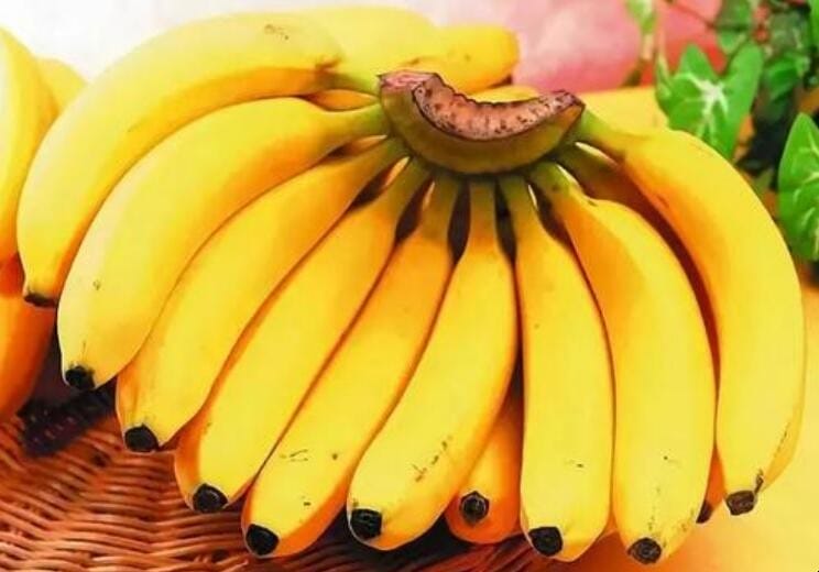香蕉批发商怎么保存香蕉 水果店怎么保存香蕉(图1)