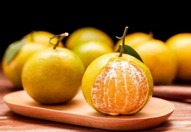 桔子,橘子,橙子,柑橘有什么区别? 橘子和橙子和柑子的区别(图2)