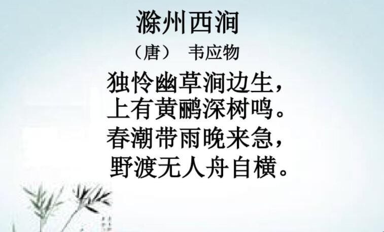 滁州西涧的译文是什么 滁州西涧翻译意思(图1)