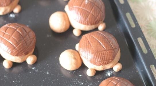 乌龟面包造型图片及做法「乌龟包包面」(图5)