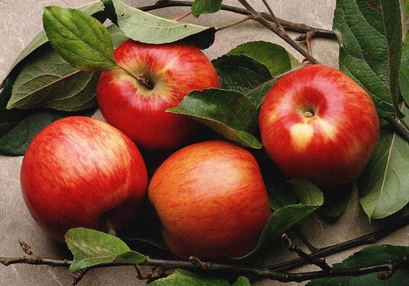 打蜡苹果与不打蜡苹果的图片辨别 打蜡苹果和不打蜡苹果哪个好(图1)