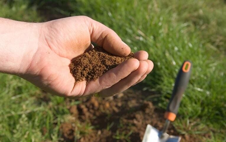 土壤的有机质有哪些作用与功能 土壤中的有机质有什么作用(图1)