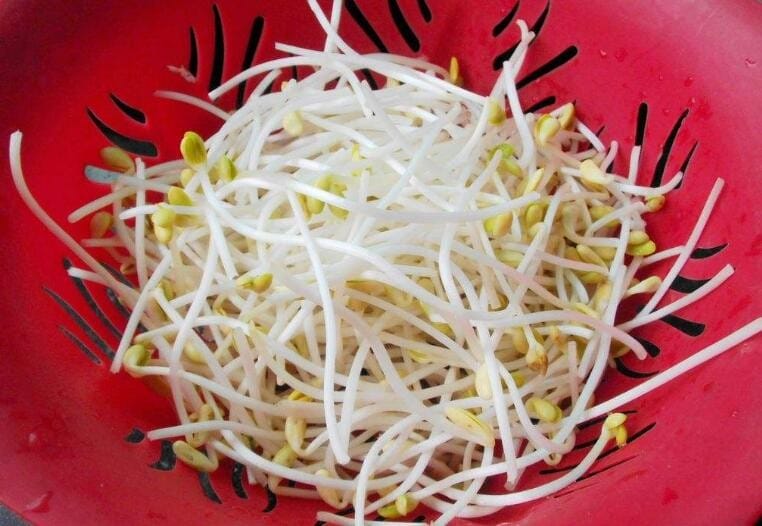 什么蔬菜的含铁量最高 什么蔬菜含铁比较高(图1) 什么蔬菜的含铁量最高 什么蔬菜含铁比较高(图1)