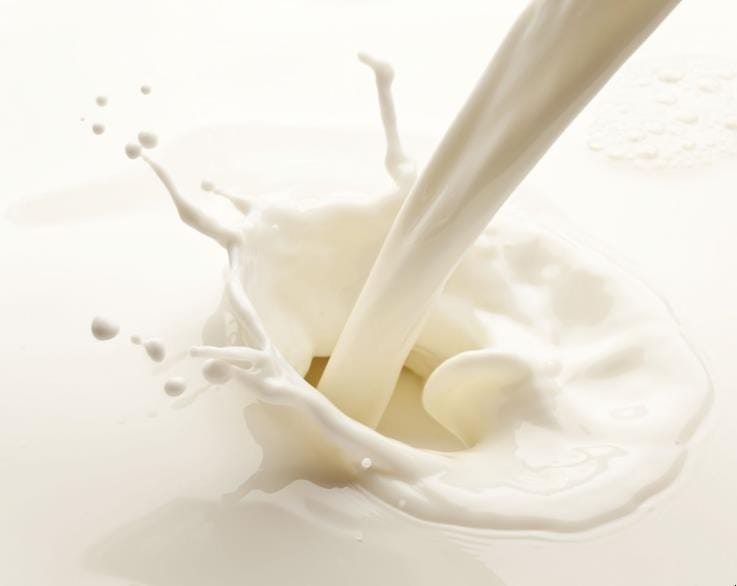 牛奶的营养成分比例 牛奶营养成分有哪些(图1)