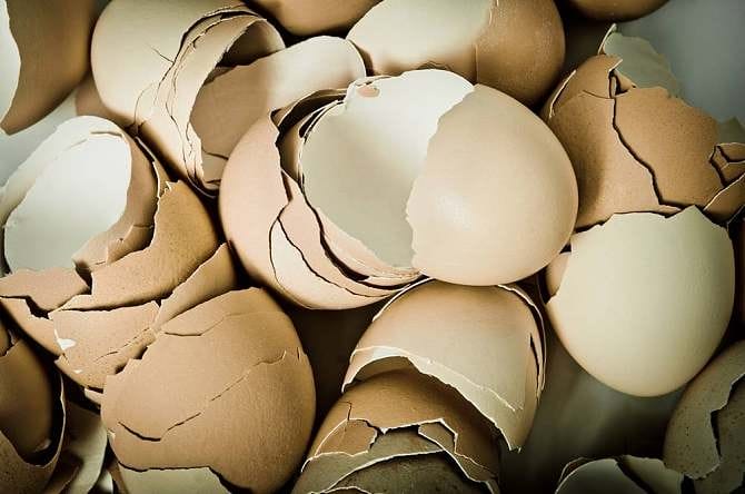 鸡蛋的蛋壳有什么作用 出小鸡的蛋壳有什么作用(图1)