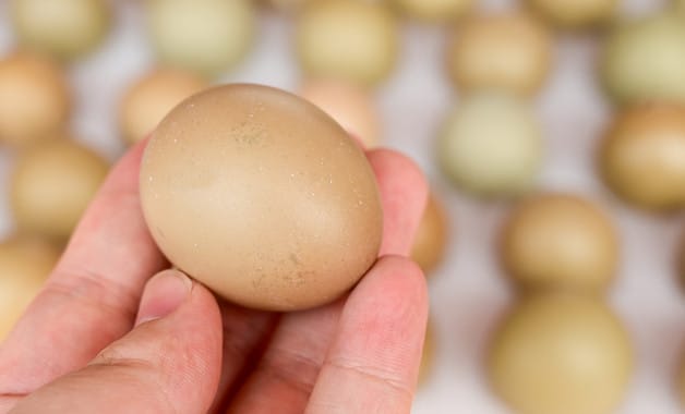 鸡蛋一般煮多长时间就熟了
