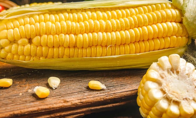 玉米授粉期多长时间