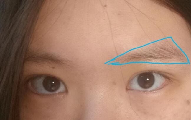 眉毛有几种眉型 图解 眉毛有几种眉型及名称图片(图3)