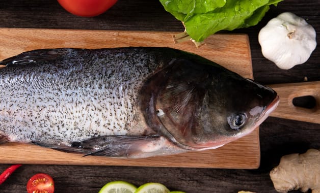 刀鱼炖大白菜的家常做法