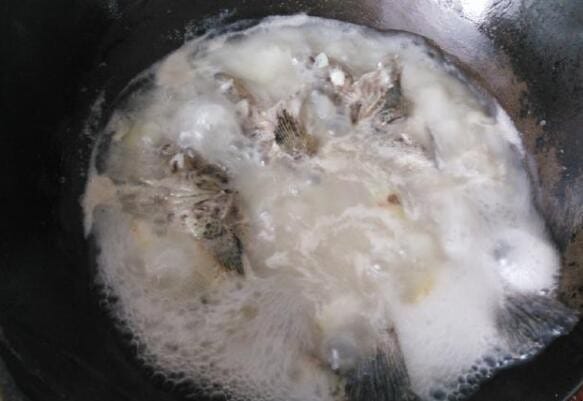 鱼汤怎么炖出奶白色 鱼汤怎么煮才会乳白色(图5)