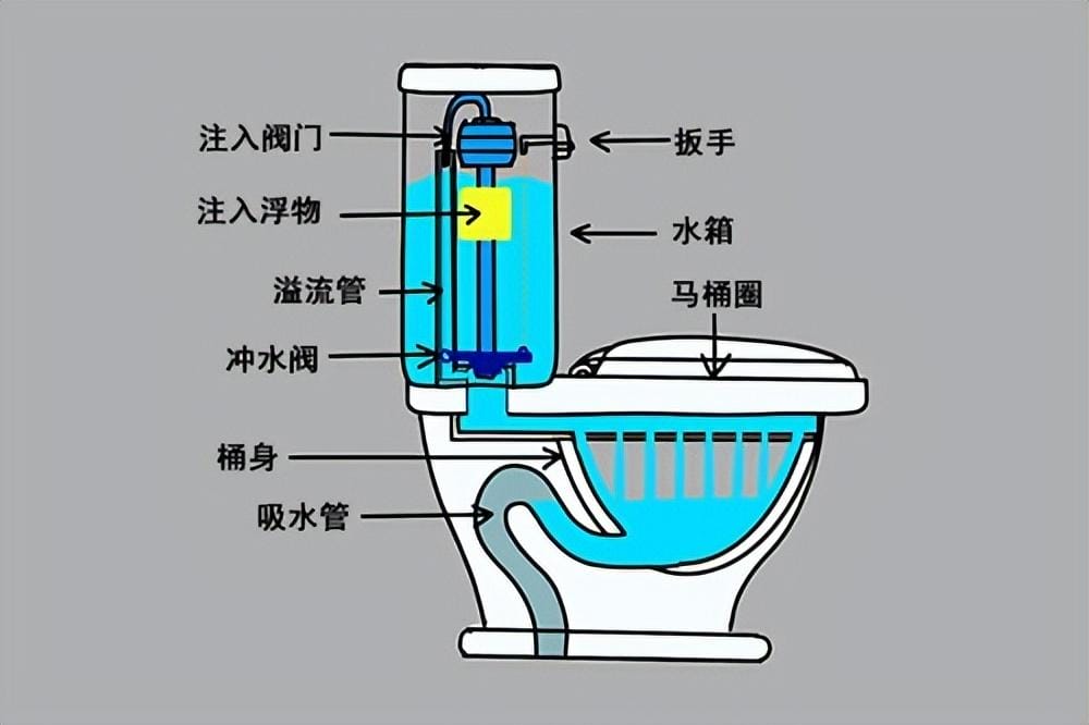 厕纸可以马桶里冲掉吗? 厕纸可以扔马桶吗(图2)