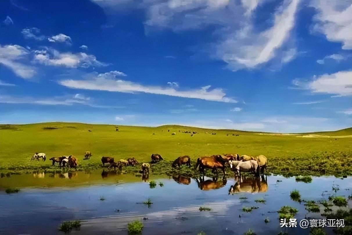 内蒙古6大草原排名 内蒙古三大草原有哪些(图31)