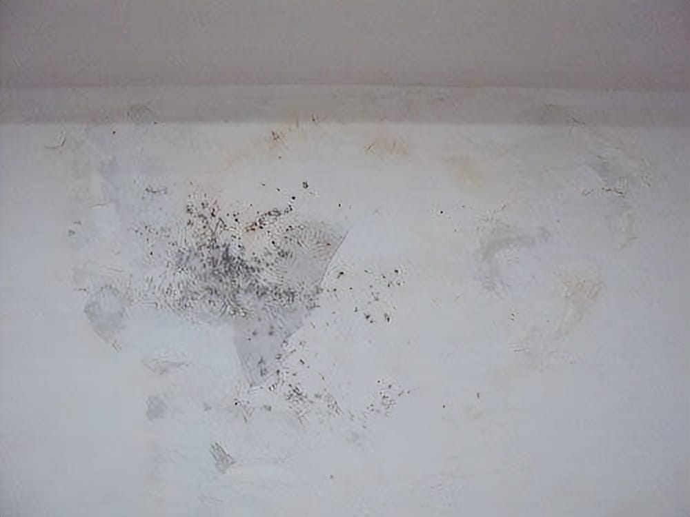 卧室墙发霉有什么危害 卧室墙壁发霉处理办法(图2)