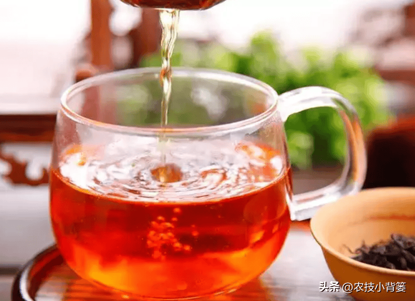 绿茶和红茶有什么区别他对身体有哪些好处 绿茶和红茶的本质区别是什么(图4)