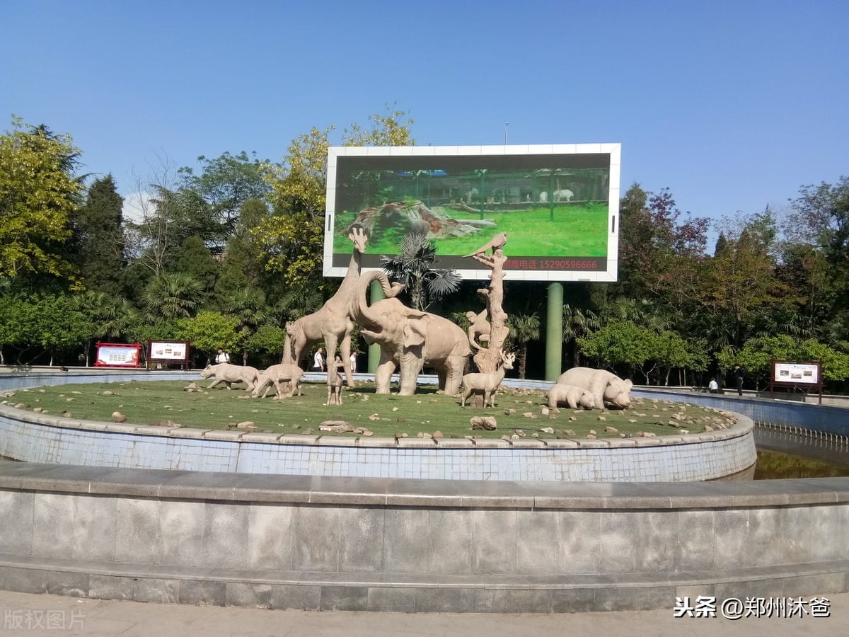 郑州动物园有狮子老虎吗 郑州动物园动物(图2)