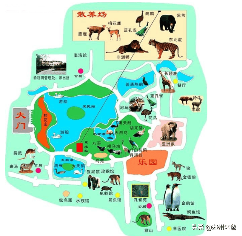 郑州动物园有狮子老虎吗 郑州动物园动物(图14)