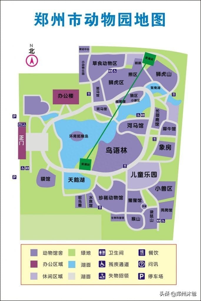 郑州动物园有狮子老虎吗 郑州动物园动物(图17)