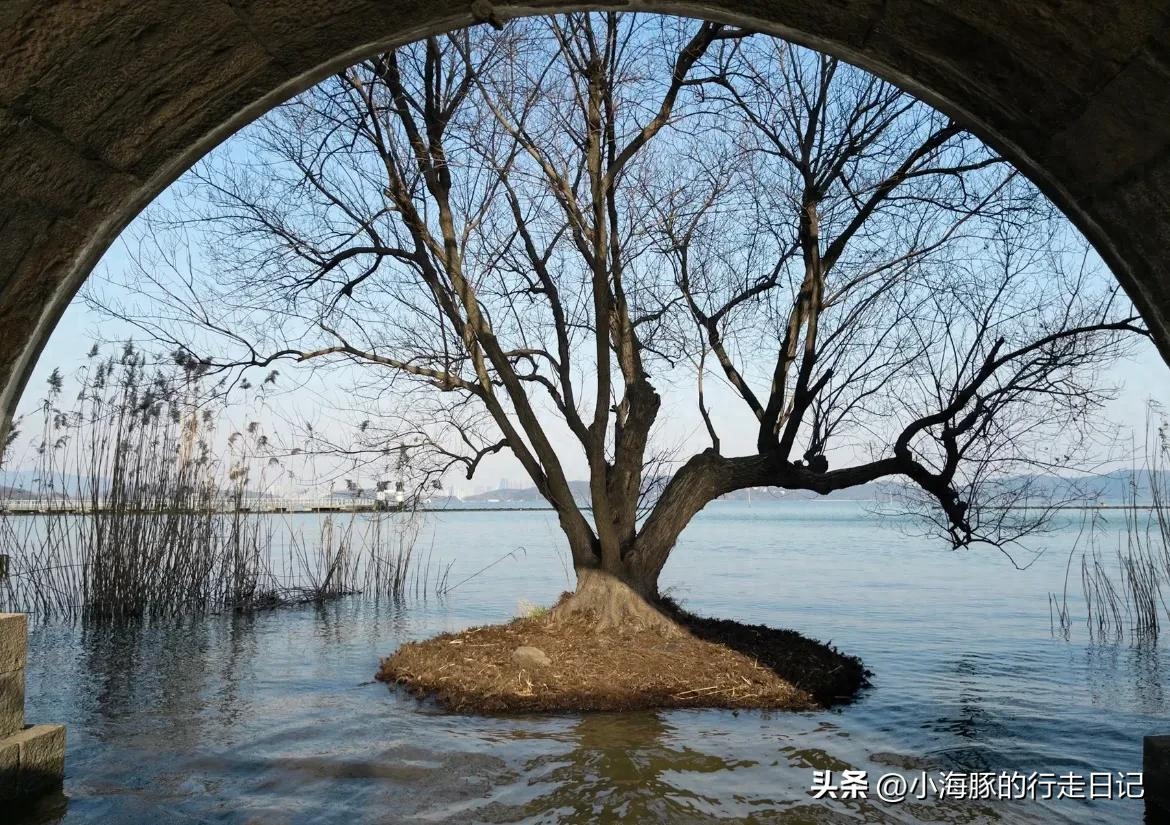 江苏省的太湖面积是多少平方千米 江苏省的太湖是中国第三大淡水湖英文(图4)