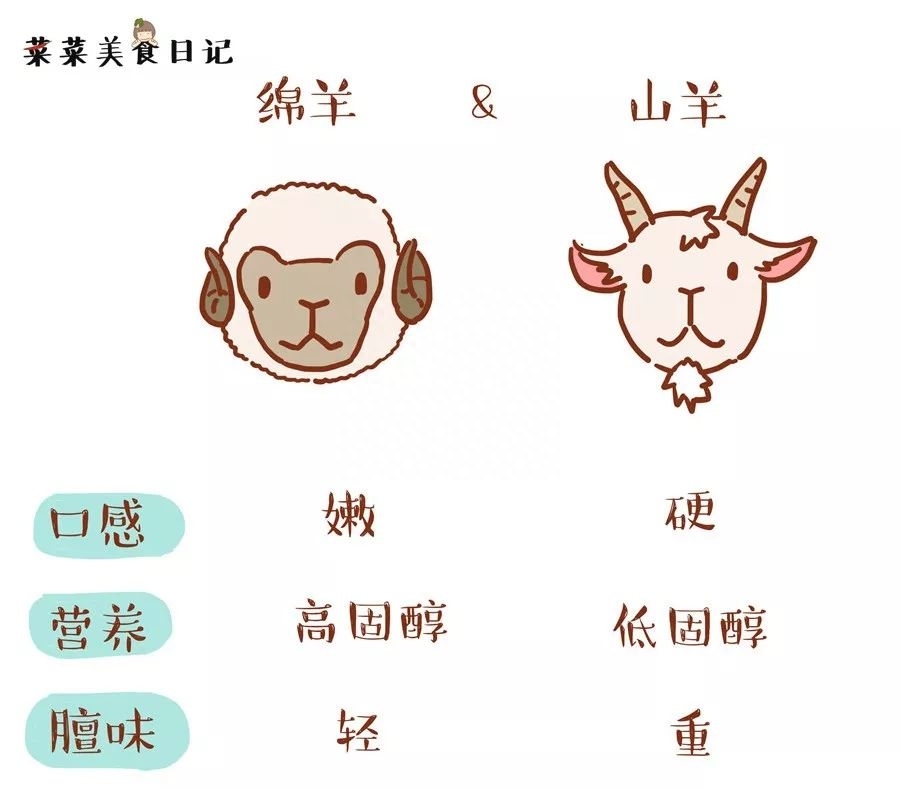 火锅店的牛肉是真的吗 火锅店的牛羊肉是假的(图20)
