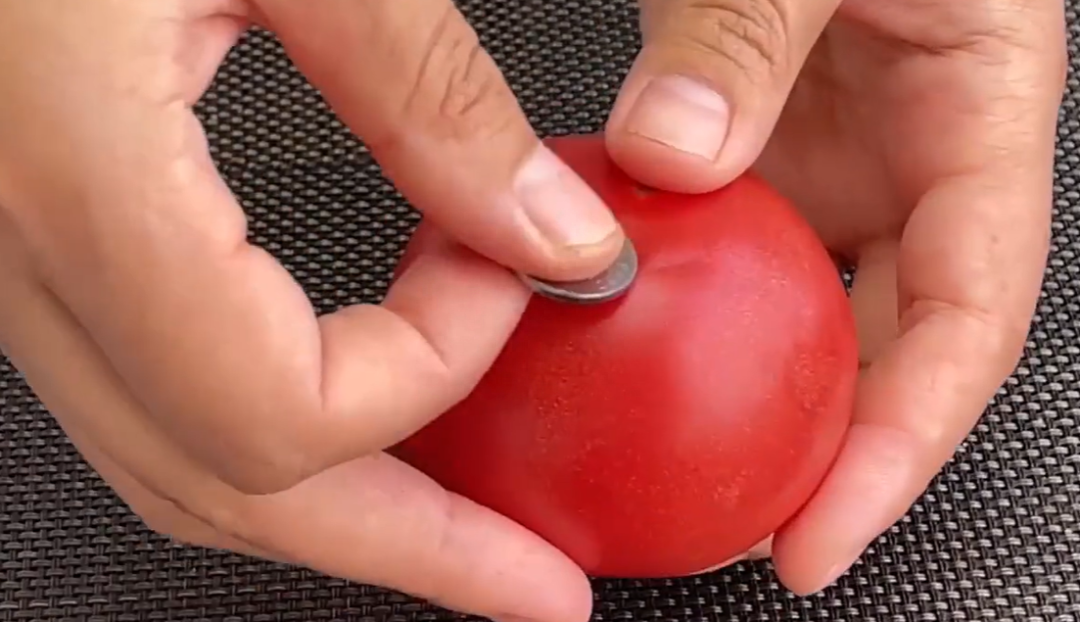 西红柿的剥皮方法 家务小窍门西红柿简单剥皮法(图3)