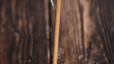 不锈钢筷子会有黄曲霉吗能用吗 不锈钢筷子会有黄曲霉素吗(图11)
