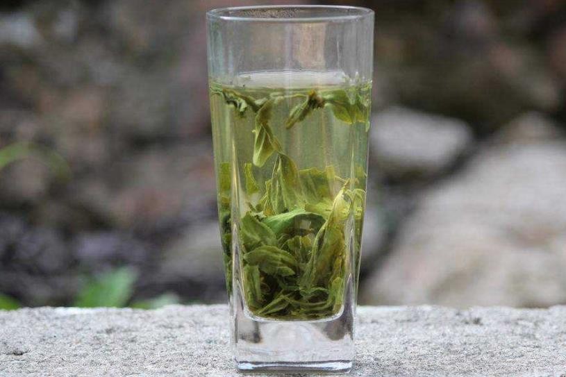 南山寿眉茶有什么特点 南山寿眉茶有什么特点和作用呢(图1)