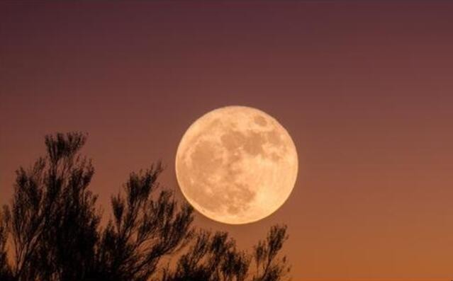 明月当空是什么意思 月圆之夜明月当空是什么意思(图1)