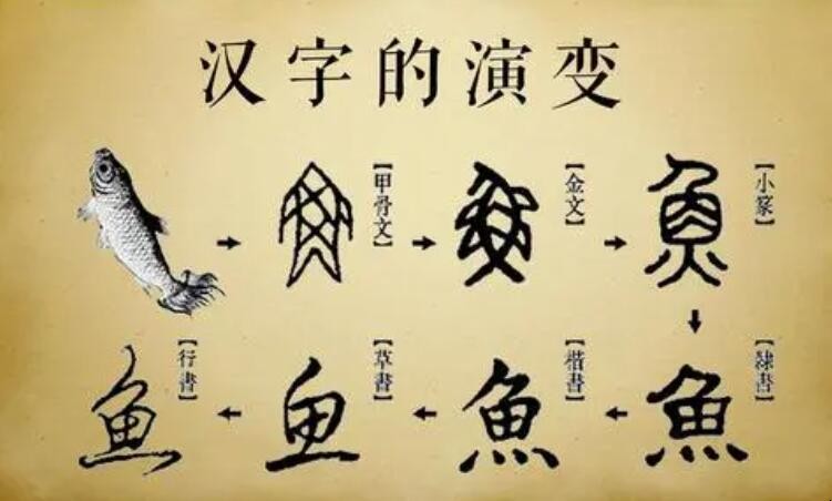 汉字的演变作文怎么写 汉字的演变作文怎么写400字四年级(图1)