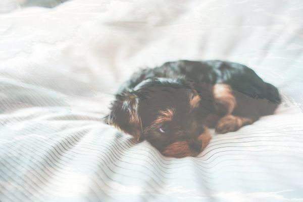 小米妙享支持电脑机型