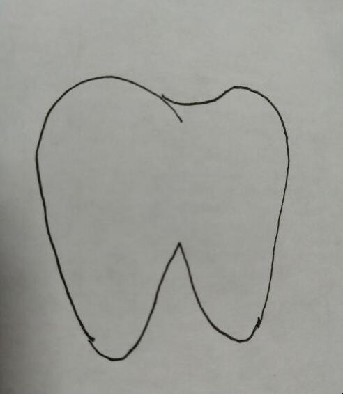 牙齿简笔画怎么画 牙齿简笔画大全可爱(图3)