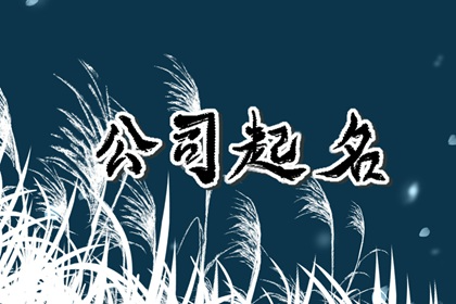五行取公司名字免费起名大全 企业名字是与顾客交易的关键