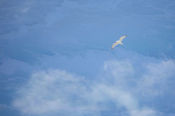 小米云服务满了怎么删除其内容