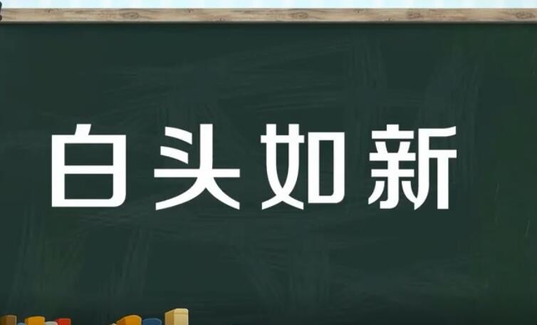 白头如新是什么意思 青盖如故白头如新是什么意思(图1) 白头如新是什么意思 青盖如故白头如新是什么意思(图1)