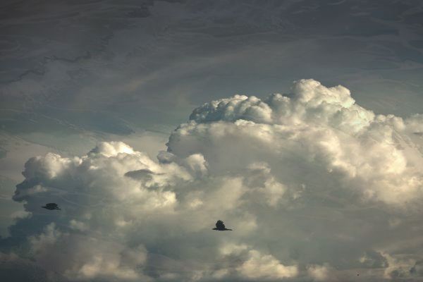 百度竞价开户平台 - 百度竞价开户费多少钱