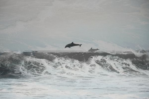 华为p60pro美颜功能