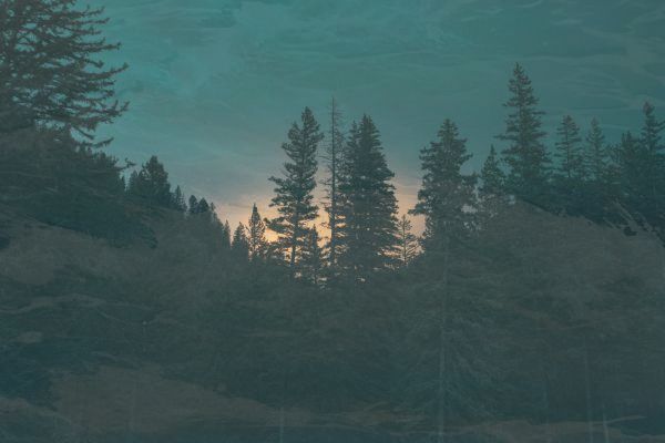 华为p60pro手机功能