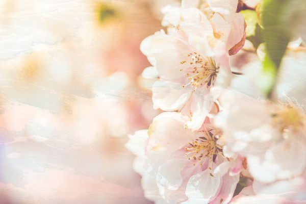 华为p60pro相机参数