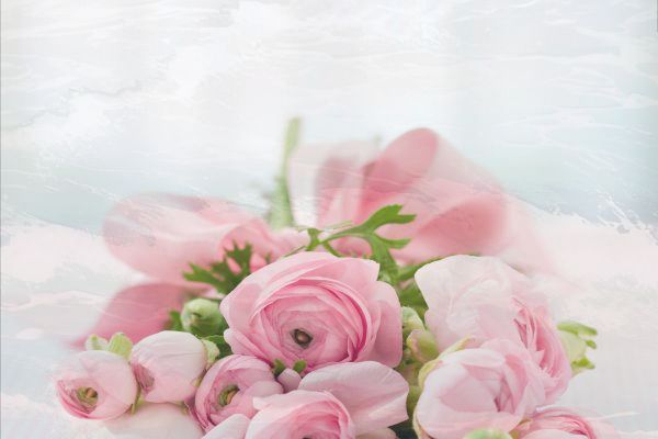 华为p60与mate50Pro的区别 华为p60与mate50Pro的区别