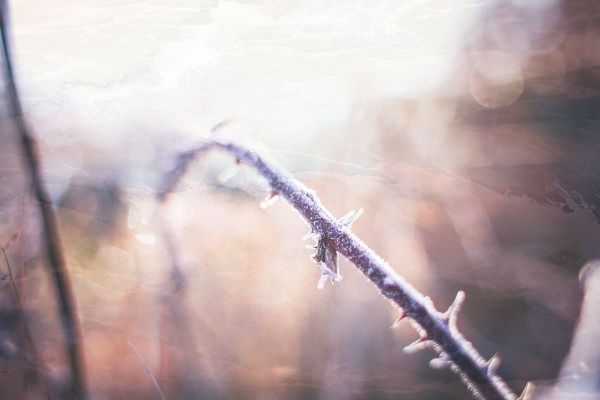 华为p60pro手机参数