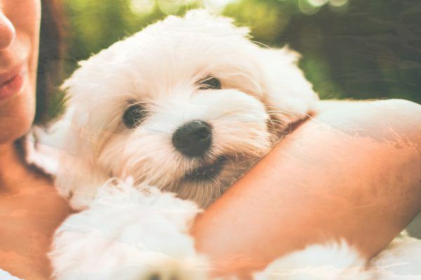 excel表格常用函数公式大全 - excel表格常用函数技巧大全 excel表格常用函数公式大全 - excel表格常用函数技巧大全