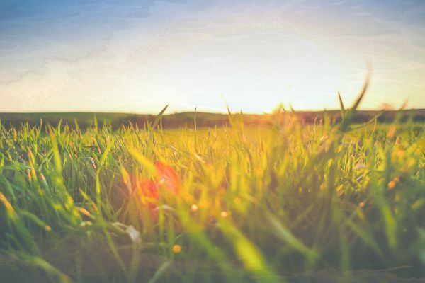 华为p60pro和p60art 哪个型号更值得值得购买 华为p60pro和p60art 哪个型号更值得值得购买