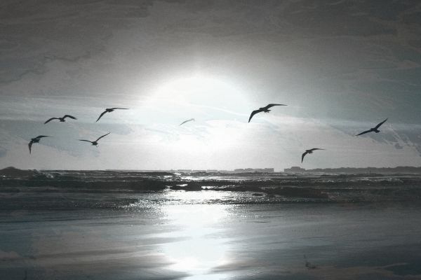 华为p60上市多久可以买到 华为p60上市多久可以买到