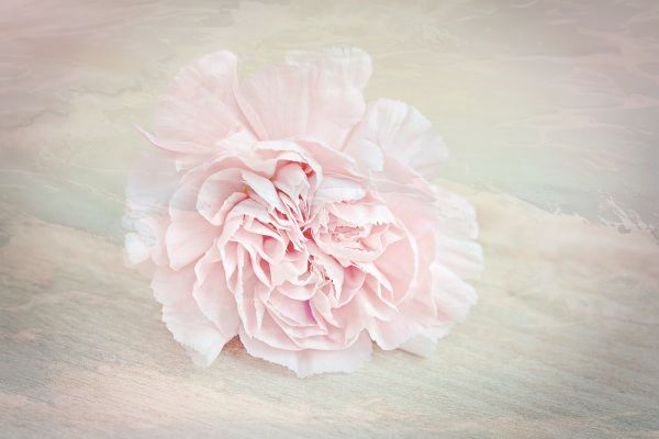 华为p60pro和华为X3买哪个